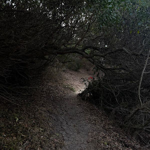 Meet your Posher, Cali